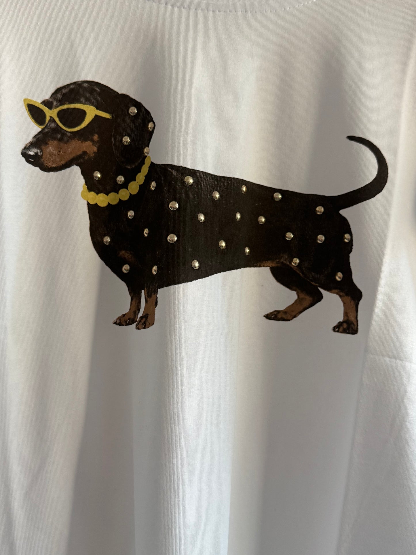 T shirt slim fit bassotto